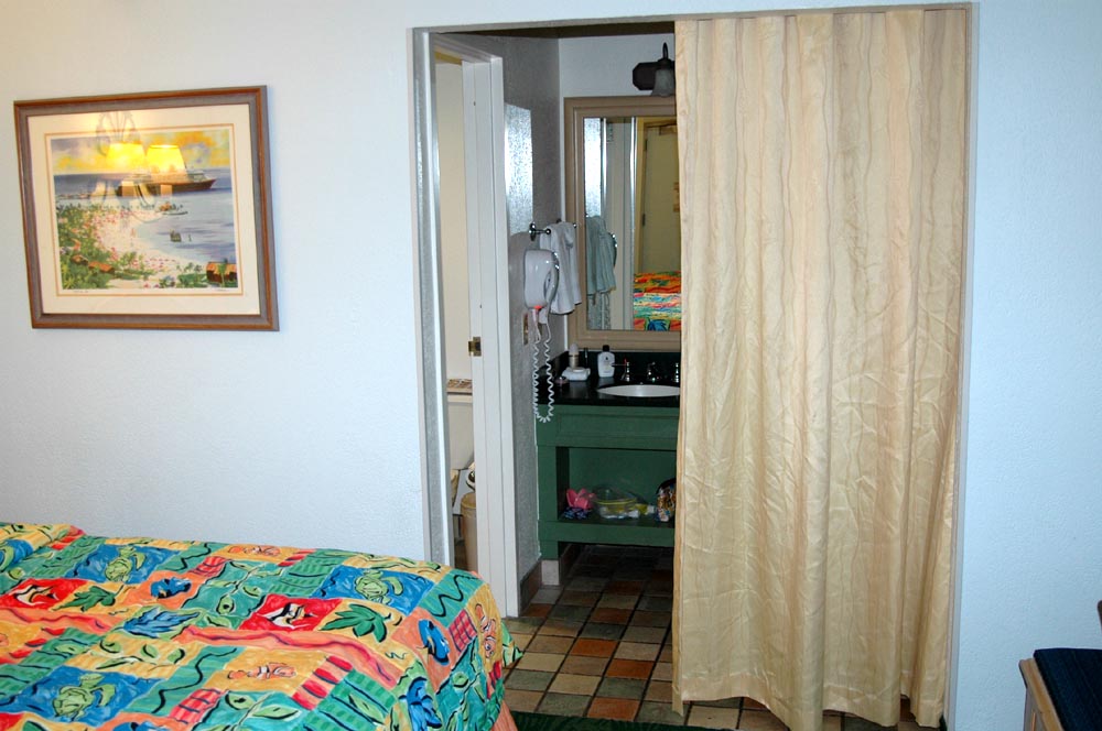 Privacy Curtain